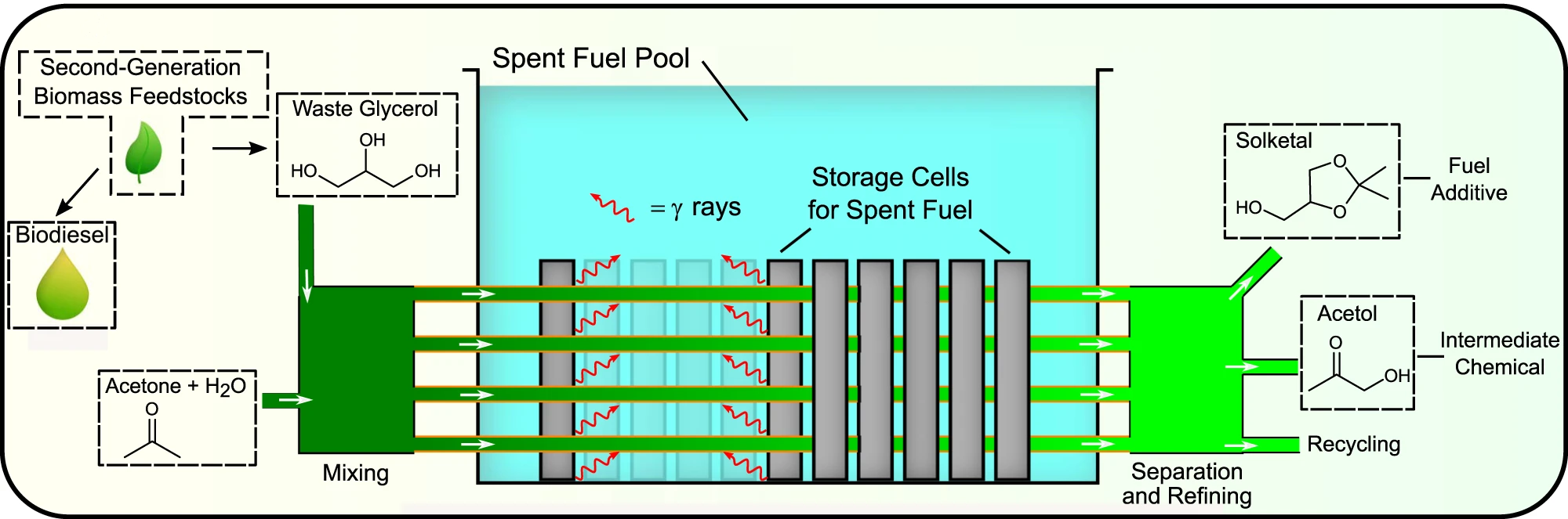 Nuclear-biorefinery process schematic depicting a spent fuel storage pool; an equivalent scenario is also plausible for the case of dry storage. © JSI