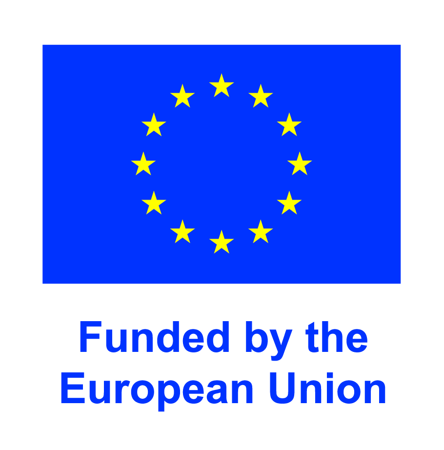 As stated in the SASPAM-SA Grant Agreement, dissemination activity must aknowledge EU support and display the European flag (emblem) and funding Statement. 