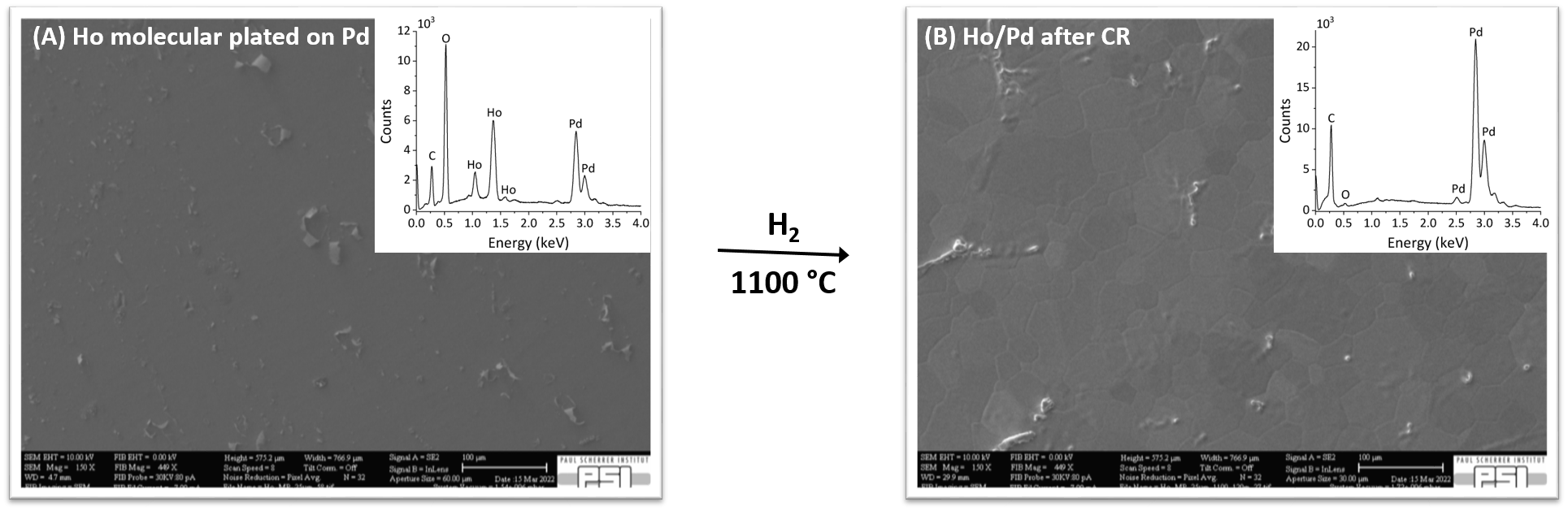 Fig. 2 Scanning Electron Microscope (SEM) picture of: (A) sample obtained by MP of Ho on Pd backing; (B) sample after CR at 1100 °C under H2 atmosphere. The insets shows the relative EDXs. © PSI